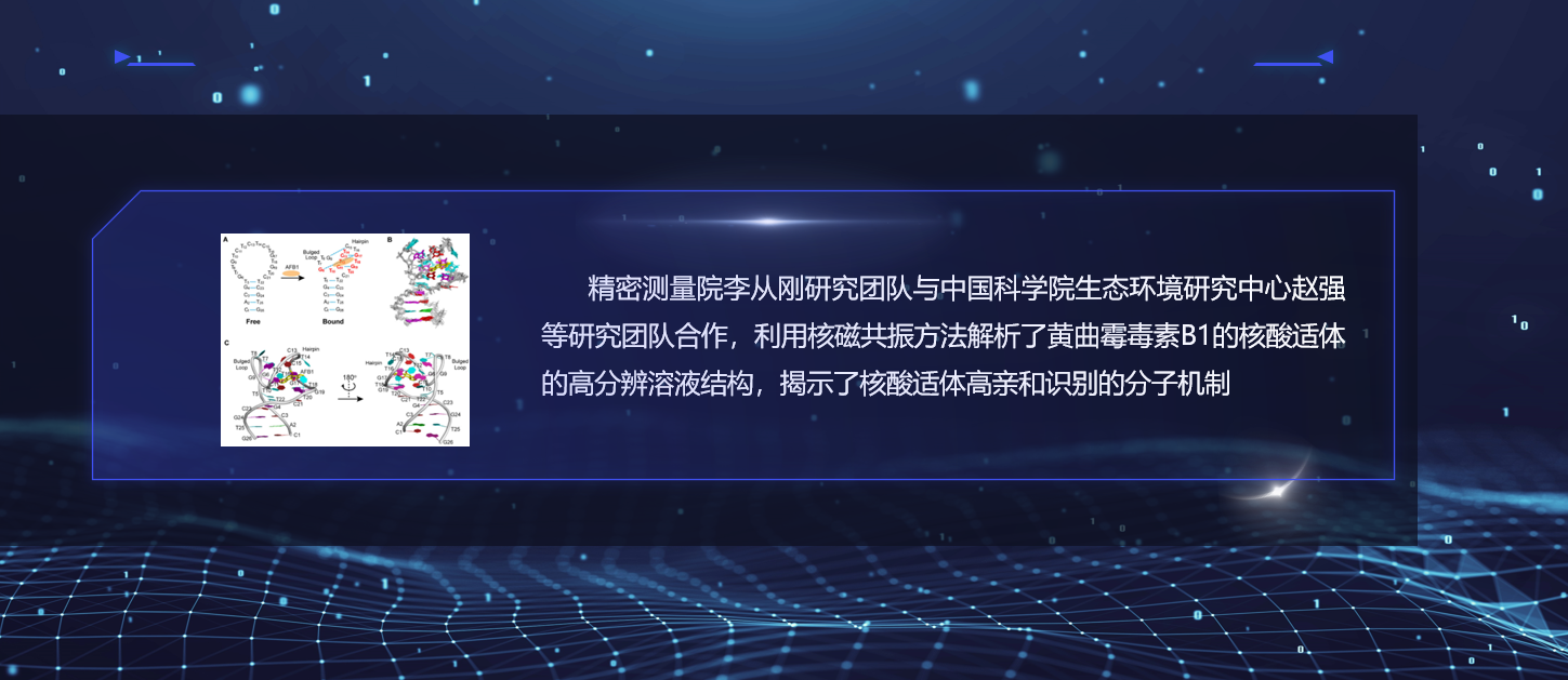 精密测量院在核酸适体分子识别机制方面取得新进展