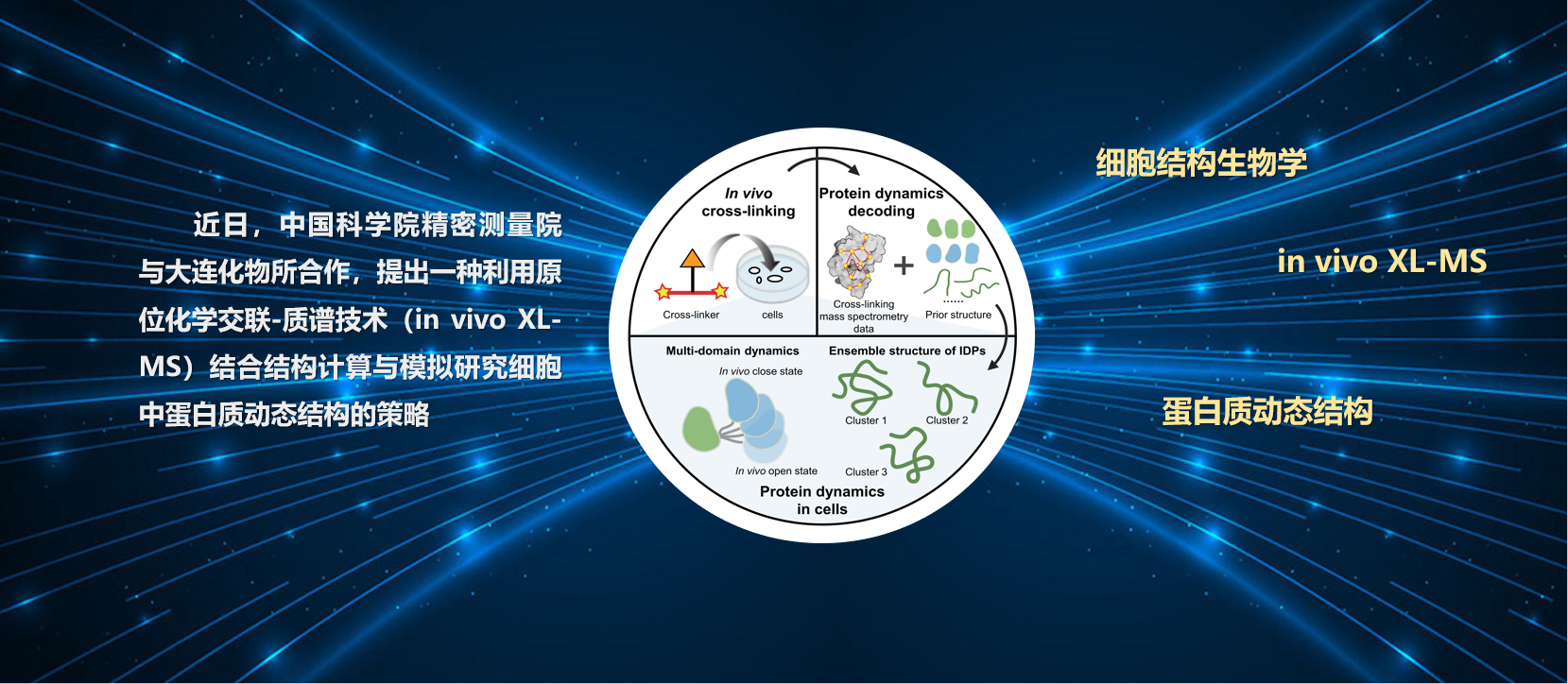 精密测量院在细胞结构生物学新方法研究方面取得新进展